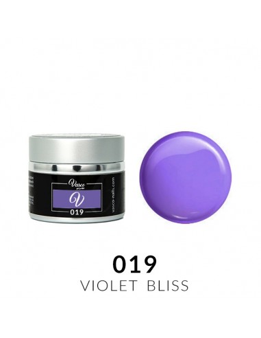 Gel Paint 019 Violet Bliss